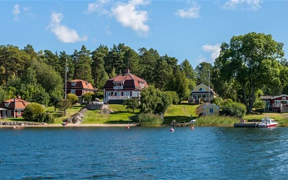 Bil och däck